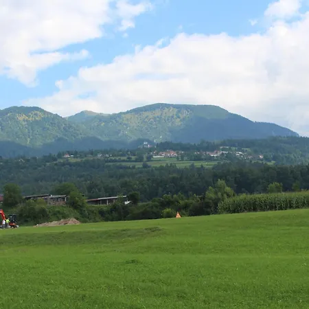 Pocitniska Hiska Pod Skalco Ferienhaus *